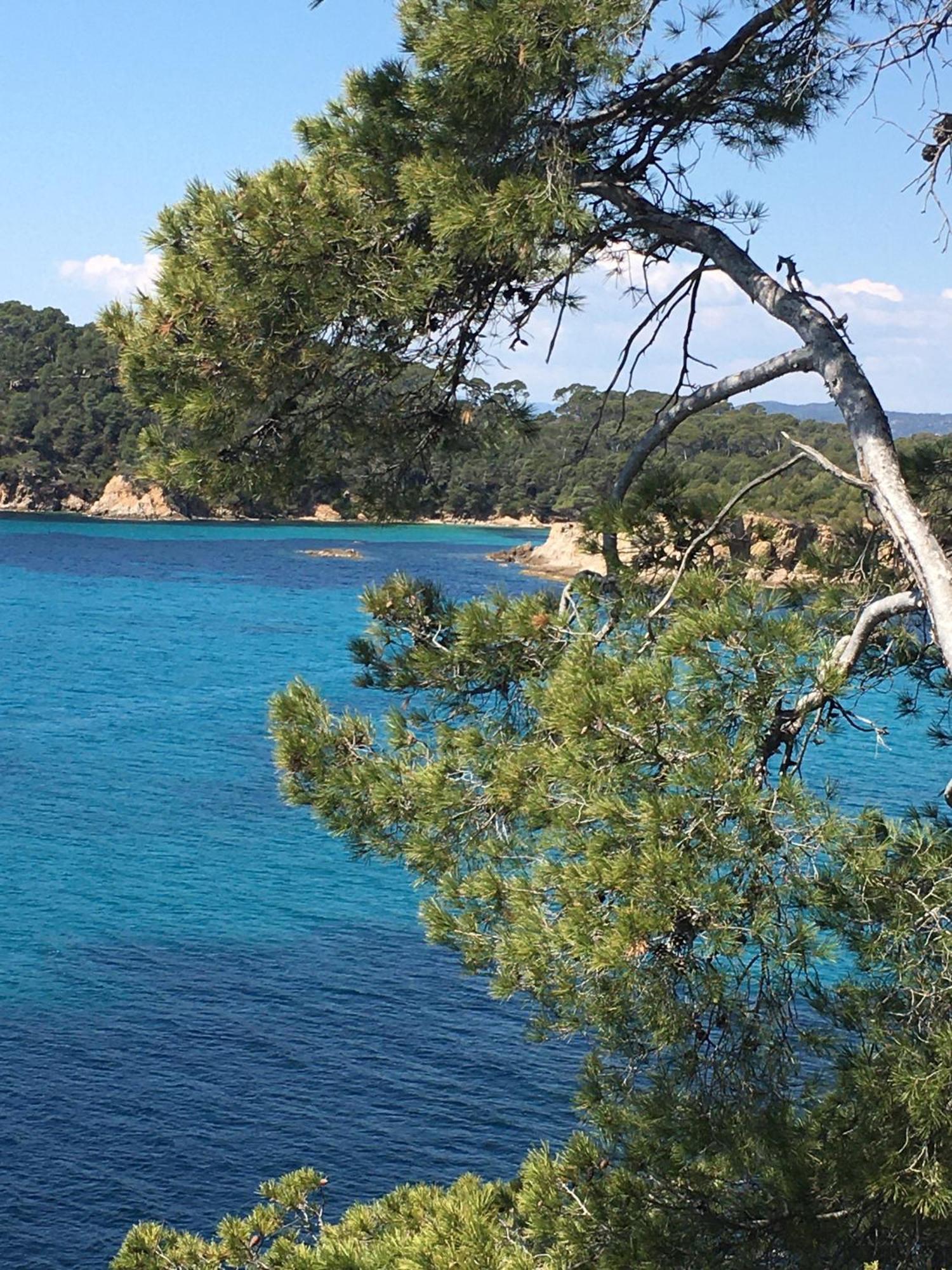 T3 Front De Mer Dernier Etage Vue Mer Petit Havre De Paix Pour Vos Vacances Emplacement Unique Vue Mer Panoramique A 180 Degres Pour Ce T3 En Face De La Plage Front De Mer Vue Sur Les Iles 5 Et Dernier Etage Avec Ascenseur Le Lavandou Bagian luar foto