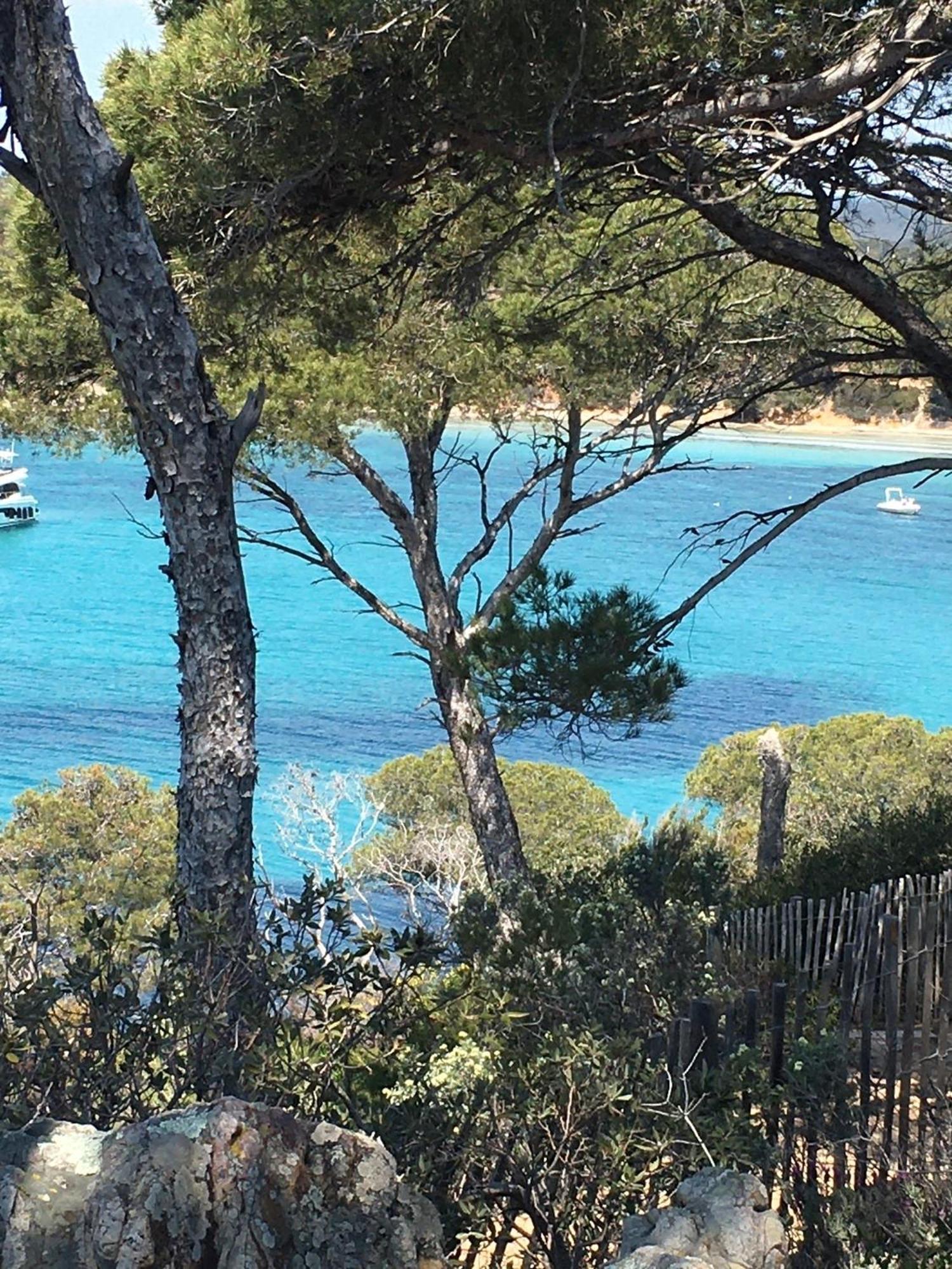 T3 Front De Mer Dernier Etage Vue Mer Petit Havre De Paix Pour Vos Vacances Emplacement Unique Vue Mer Panoramique A 180 Degres Pour Ce T3 En Face De La Plage Front De Mer Vue Sur Les Iles 5 Et Dernier Etage Avec Ascenseur Le Lavandou Bagian luar foto